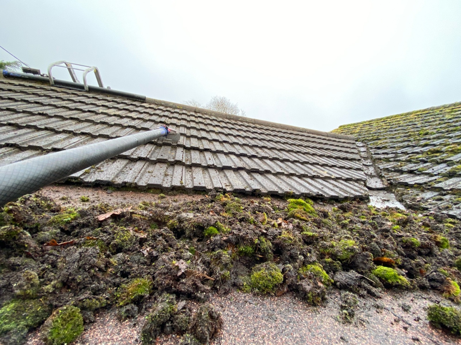 Roof Cleaning | Norfolk Gutter Guru