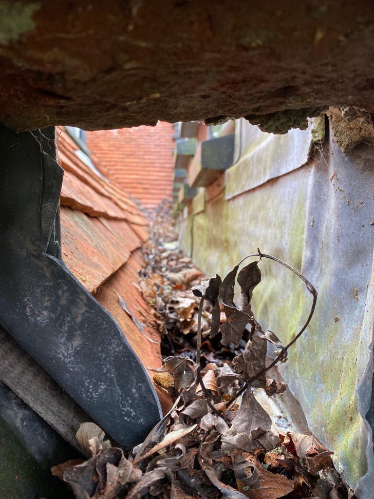 Before Gutter Cleaning | Norfolk Gutter Guru