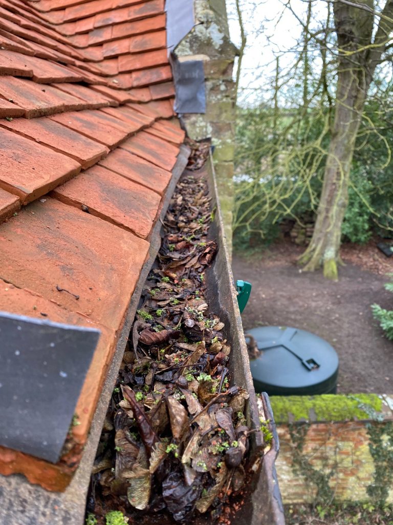 Before Gutter Cleaning | Norfolk Gutter Guru