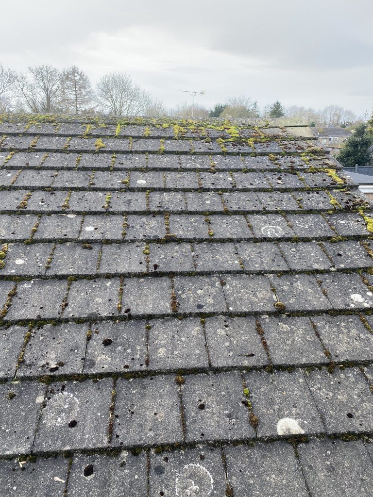Norfolk Gutter Guru | Roof Cleaning