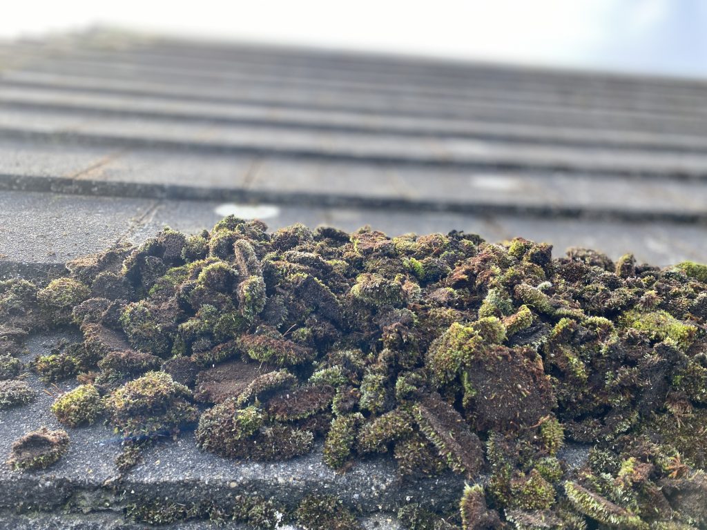 Norfolk Gutter Guru | Roof Cleaning